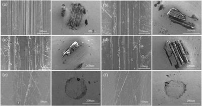 Combining the good tribological properties with the high adhesion strength of the amorphous carbon films in situ grown on PI